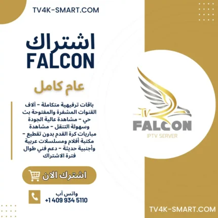 اشتراك سيرفر فالكون برو FALCON PRO لمدة سنة