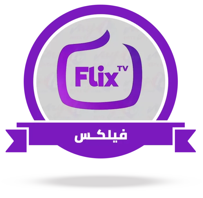 ⁦اشتراك سيرفر فليكس FLIX لمدة 6 أشهر⁩ - الصورة ⁦2⁩